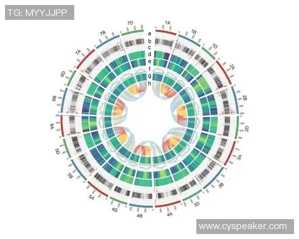北京排球队灵活性分析与战术适应性研究探讨