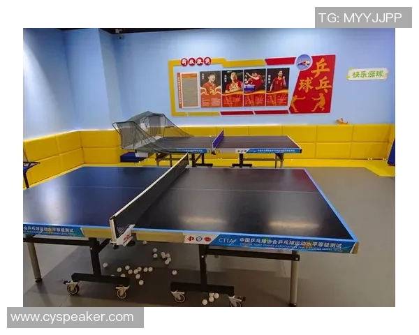 成都乒乓球队的精神风貌与发展历程探讨